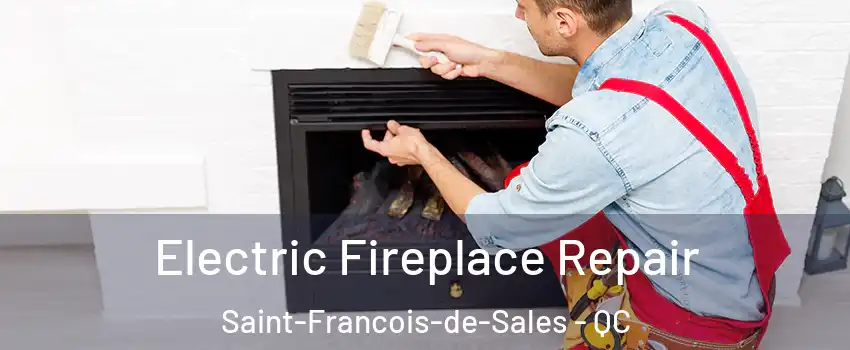  Electric Fireplace Repair Saint-Francois-de-Sales - QC
