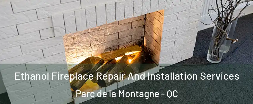  Ethanol Fireplace Repair And Installation Services Parc de la Montagne - QC