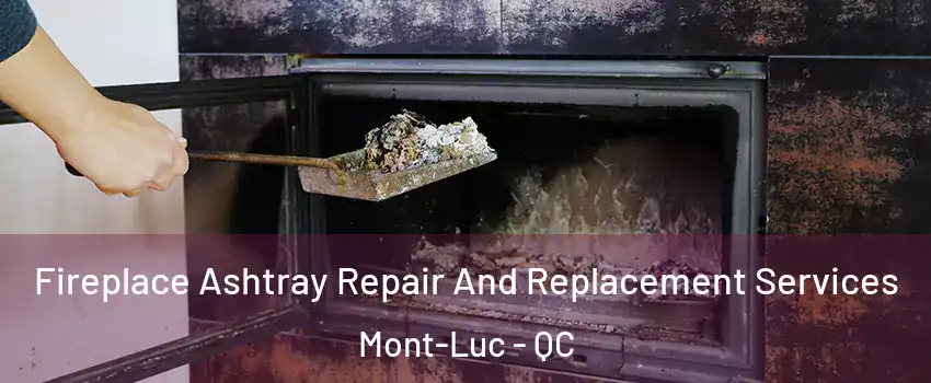  Fireplace Ashtray Repair And Replacement Services Mont-Luc - QC