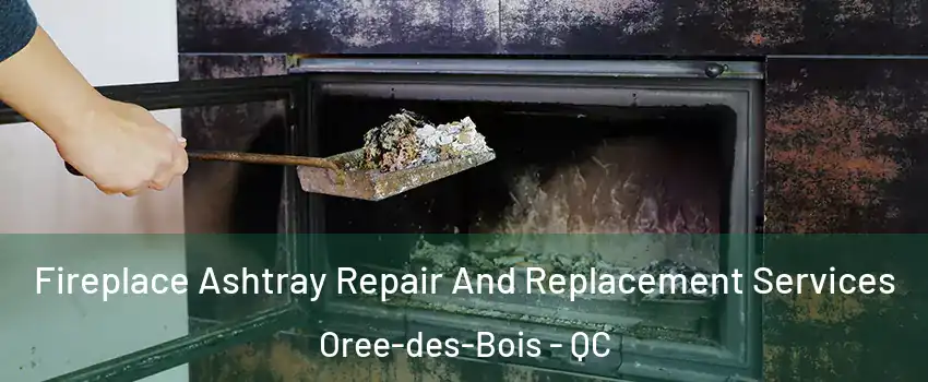  Fireplace Ashtray Repair And Replacement Services Oree-des-Bois - QC