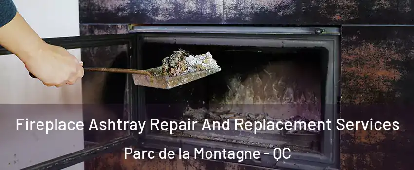  Fireplace Ashtray Repair And Replacement Services Parc de la Montagne - QC