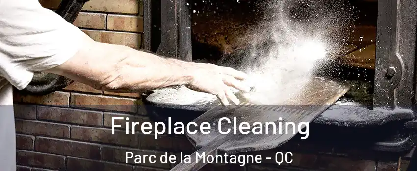  Fireplace Cleaning Parc de la Montagne - QC