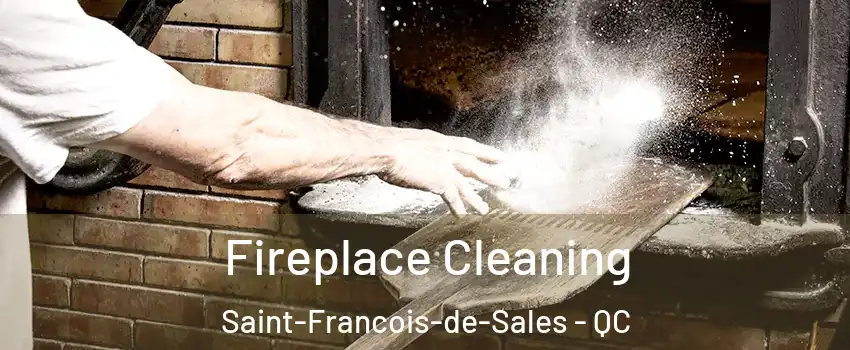  Fireplace Cleaning Saint-Francois-de-Sales - QC