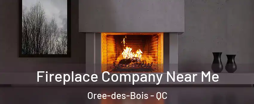  Fireplace Company Near Me Oree-des-Bois - QC
