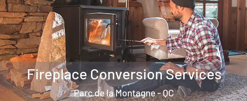 Fireplace Conversion Services Parc de la Montagne - QC