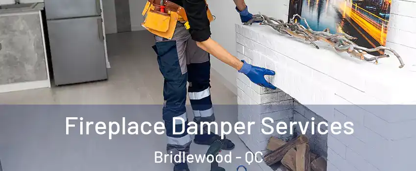  Fireplace Damper Services Bridlewood - QC