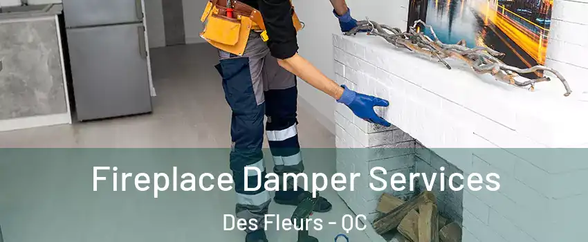  Fireplace Damper Services Des Fleurs - QC