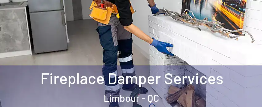  Fireplace Damper Services Limbour - QC