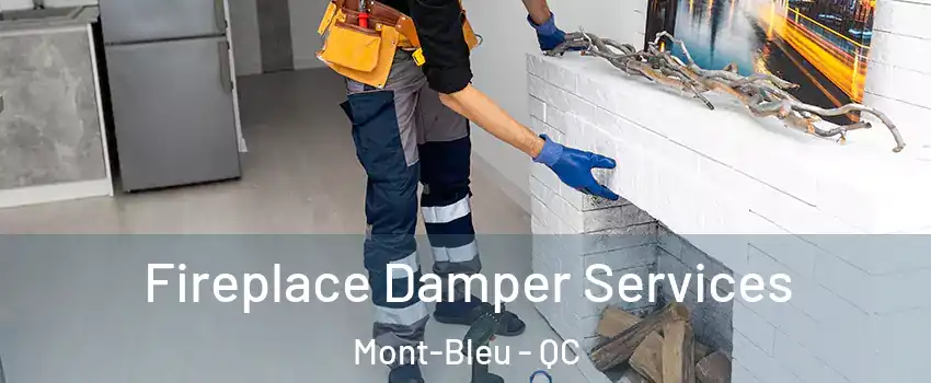  Fireplace Damper Services Mont-Bleu - QC