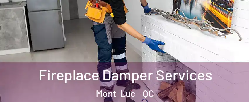  Fireplace Damper Services Mont-Luc - QC
