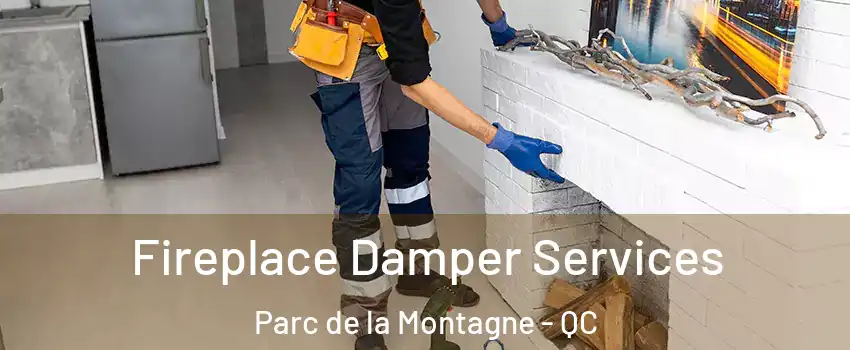 Fireplace Damper Services Parc de la Montagne - QC