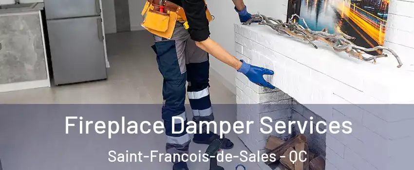 Fireplace Damper Services Saint-Francois-de-Sales - QC