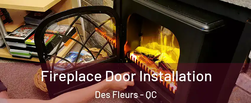  Fireplace Door Installation Des Fleurs - QC
