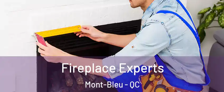  Fireplace Experts Mont-Bleu - QC
