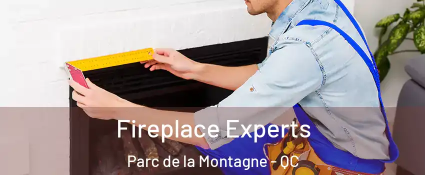  Fireplace Experts Parc de la Montagne - QC