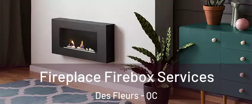  Fireplace Firebox Services Des Fleurs - QC