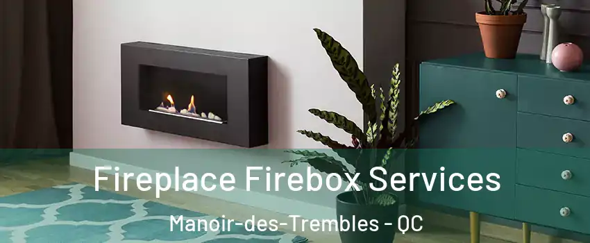  Fireplace Firebox Services Manoir-des-Trembles - QC