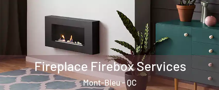  Fireplace Firebox Services Mont-Bleu - QC