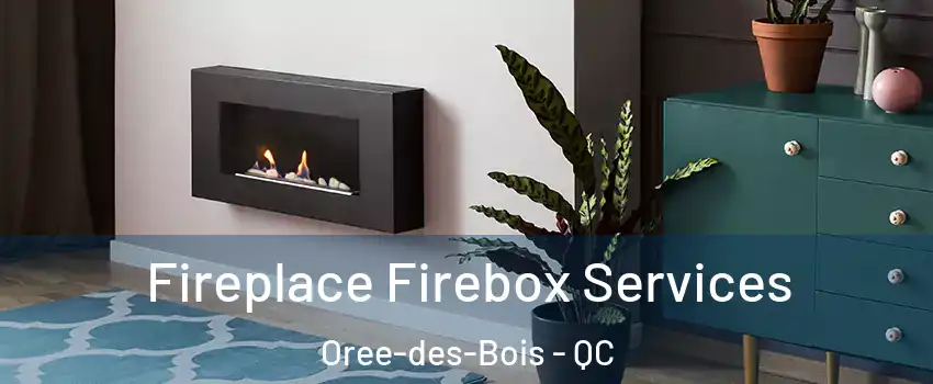  Fireplace Firebox Services Oree-des-Bois - QC