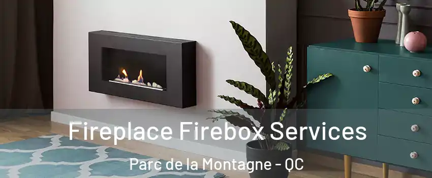  Fireplace Firebox Services Parc de la Montagne - QC