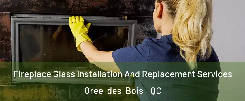  Fireplace Glass Installation And Replacement Services Oree-des-Bois - QC