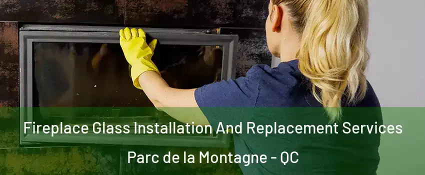  Fireplace Glass Installation And Replacement Services Parc de la Montagne - QC