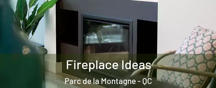 Fireplace Ideas Parc de la Montagne - QC