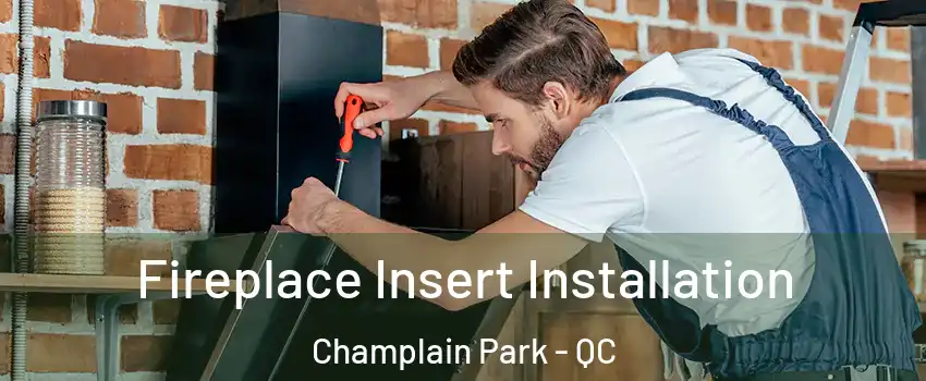  Fireplace Insert Installation Champlain Park - QC