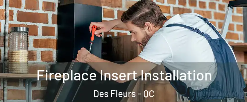  Fireplace Insert Installation Des Fleurs - QC