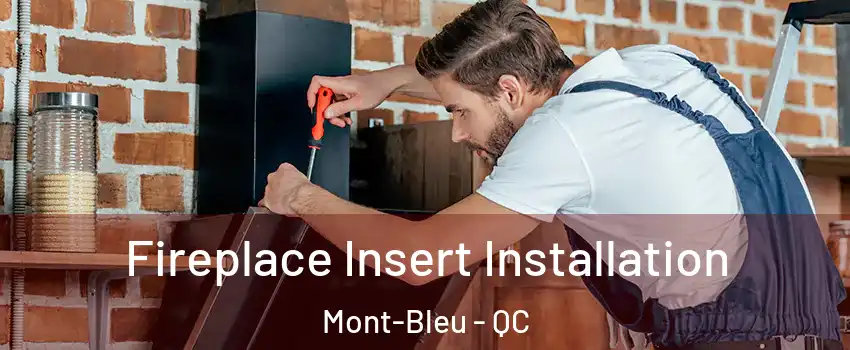  Fireplace Insert Installation Mont-Bleu - QC