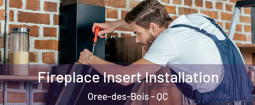  Fireplace Insert Installation Oree-des-Bois - QC