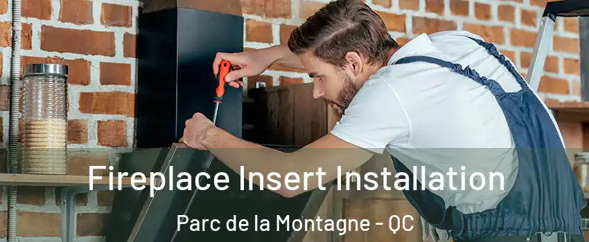  Fireplace Insert Installation Parc de la Montagne - QC