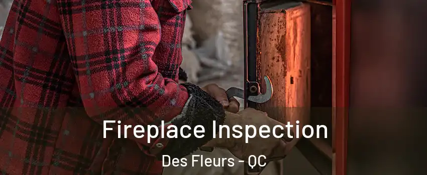  Fireplace Inspection Des Fleurs - QC