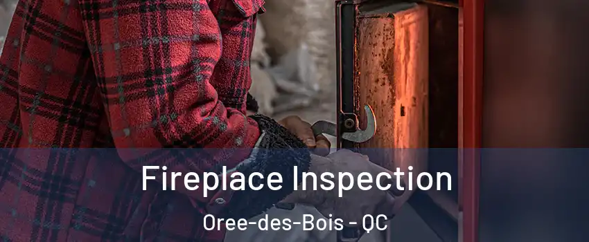  Fireplace Inspection Oree-des-Bois - QC
