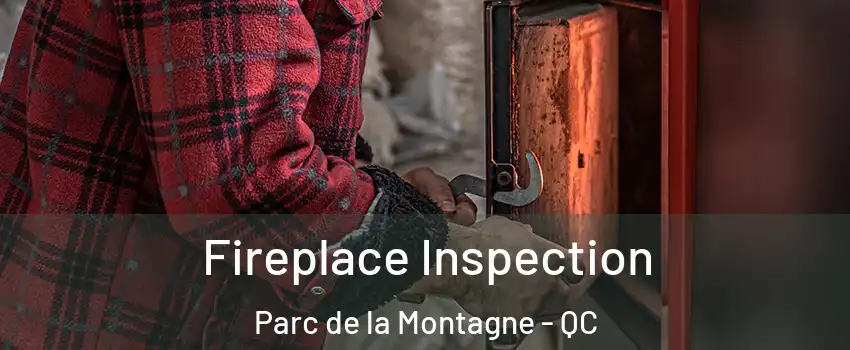  Fireplace Inspection Parc de la Montagne - QC