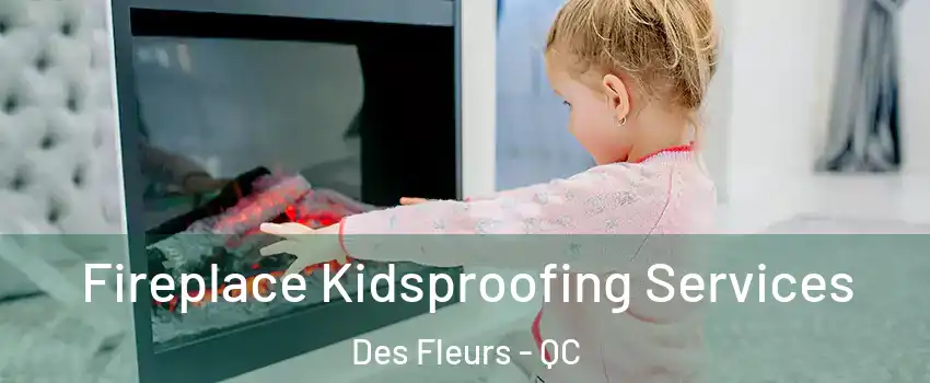  Fireplace Kidsproofing Services Des Fleurs - QC