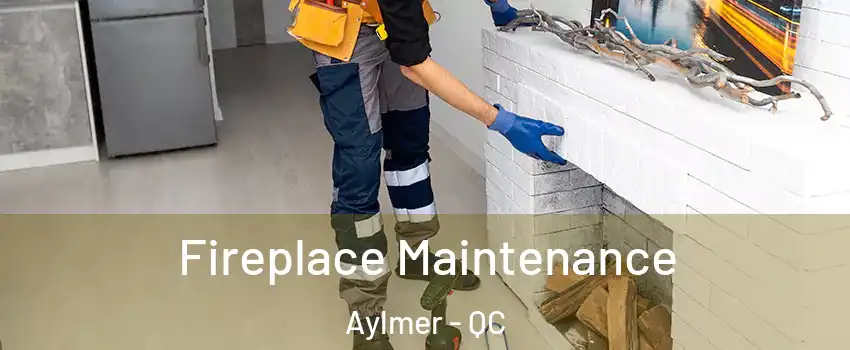  Fireplace Maintenance Aylmer - QC