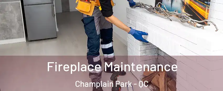  Fireplace Maintenance Champlain Park - QC