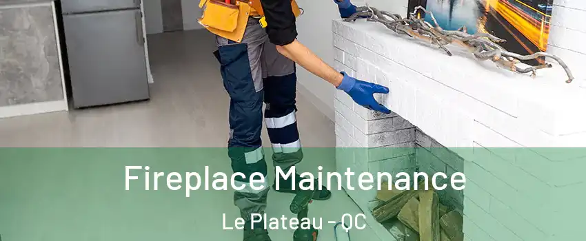  Fireplace Maintenance Le Plateau - QC