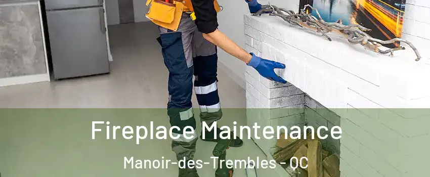 Fireplace Maintenance Manoir-des-Trembles - QC
