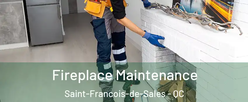  Fireplace Maintenance Saint-Francois-de-Sales - QC
