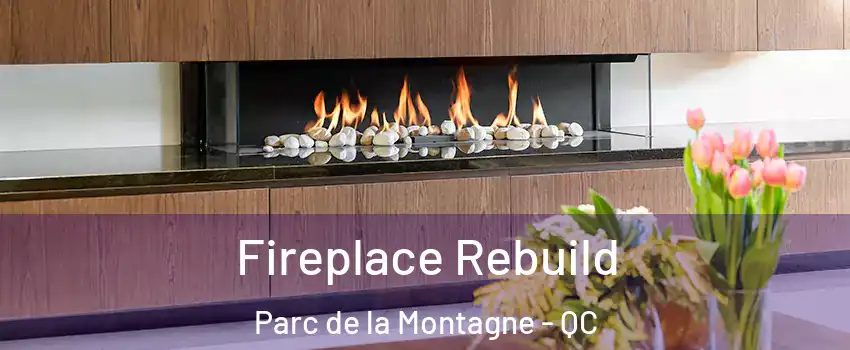  Fireplace Rebuild Parc de la Montagne - QC