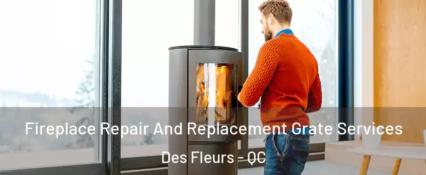  Fireplace Repair And Replacement Grate Services Des Fleurs - QC