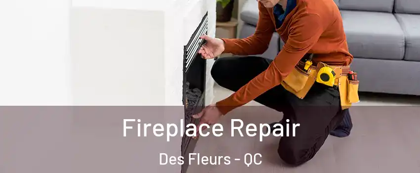  Fireplace Repair Des Fleurs - QC