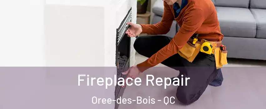  Fireplace Repair Oree-des-Bois - QC