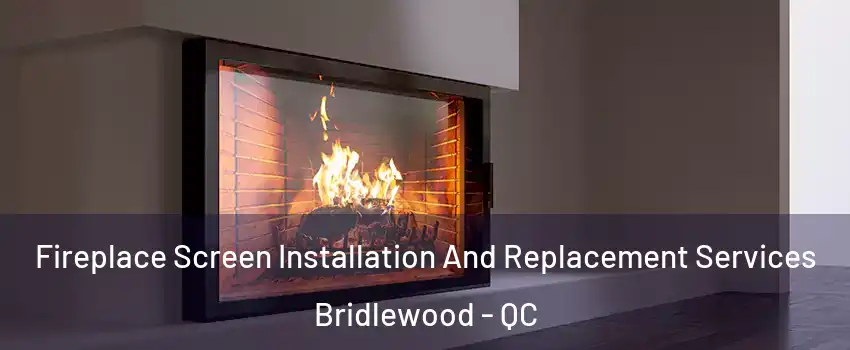 Fireplace Screen Installation And Replacement Services Bridlewood - QC