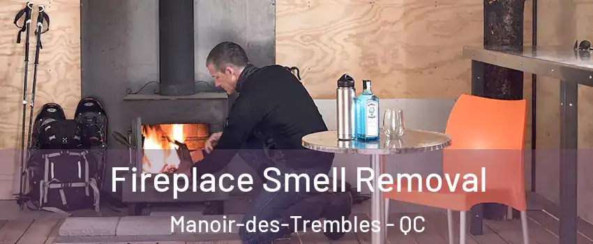  Fireplace Smell Removal Manoir-des-Trembles - QC