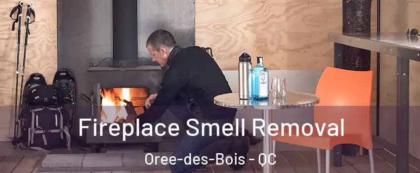  Fireplace Smell Removal Oree-des-Bois - QC
