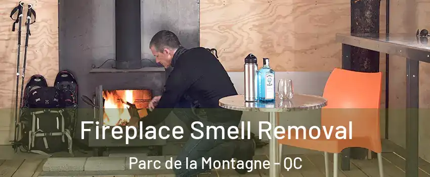  Fireplace Smell Removal Parc de la Montagne - QC