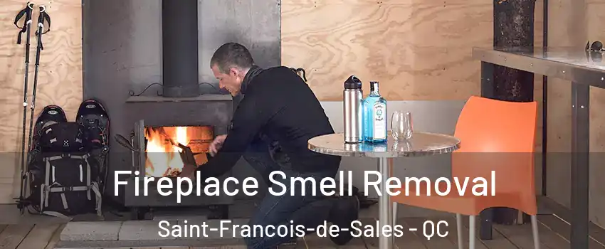  Fireplace Smell Removal Saint-Francois-de-Sales - QC